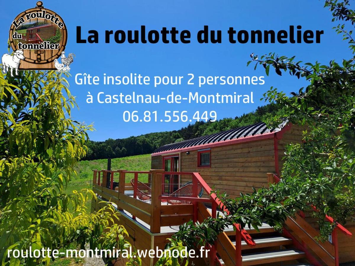 Вилла La Roulotte Du Tonnelier Castelnau-de-Montmiral Экстерьер фото